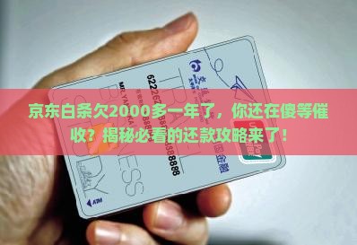 京东白条欠2000多一年了