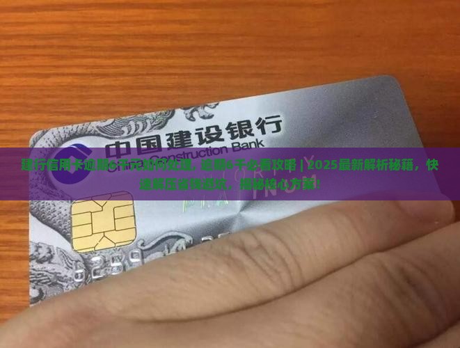 建行信用卡逾期6千元如何处理