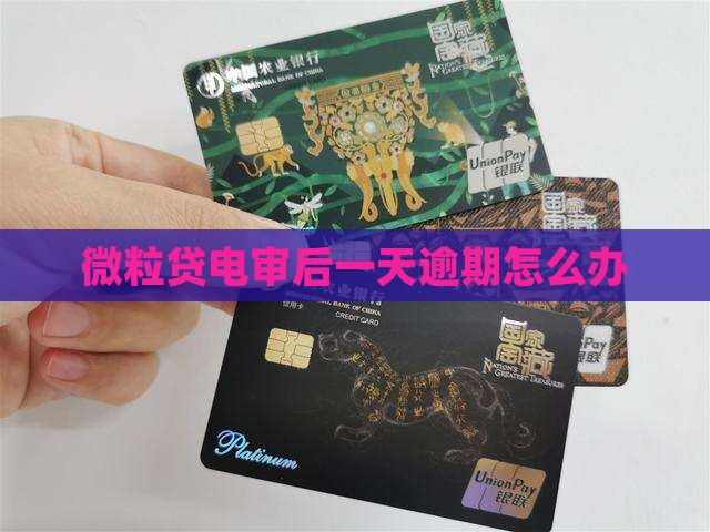 微粒贷电审后一天了如何处理