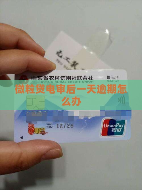 微粒贷电审后一天了如何处理