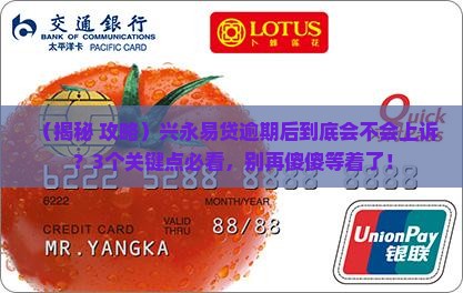 兴永易贷逾期会上诉吗