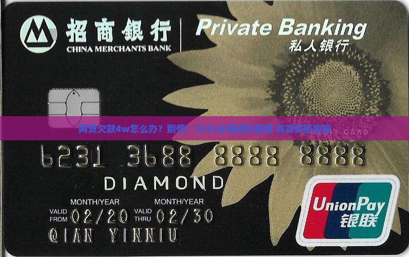 网贷欠款4w怎么办