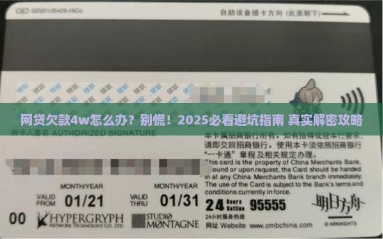 网贷欠款4w怎么办