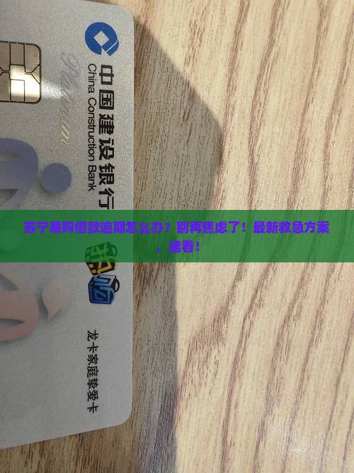 苏宁易购借款逾期怎么办
