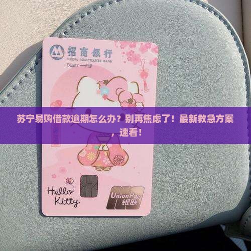 苏宁易购借款逾期怎么办
