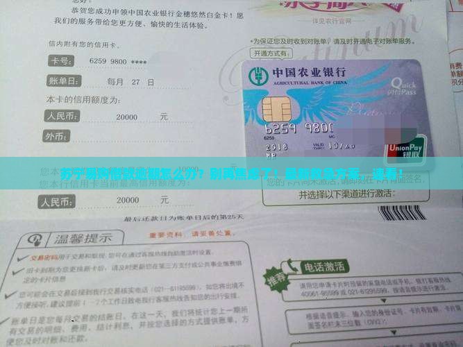 苏宁易购借款逾期怎么办
