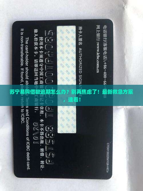 苏宁易购借款逾期怎么办