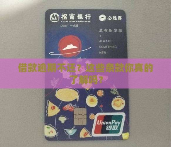 借款逾期不还条款解析