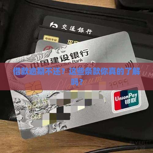 借款逾期不还条款解析
