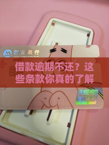 借款逾期不还条款解析