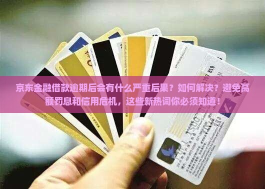 京东金融借款逾期后的后果和处理方式