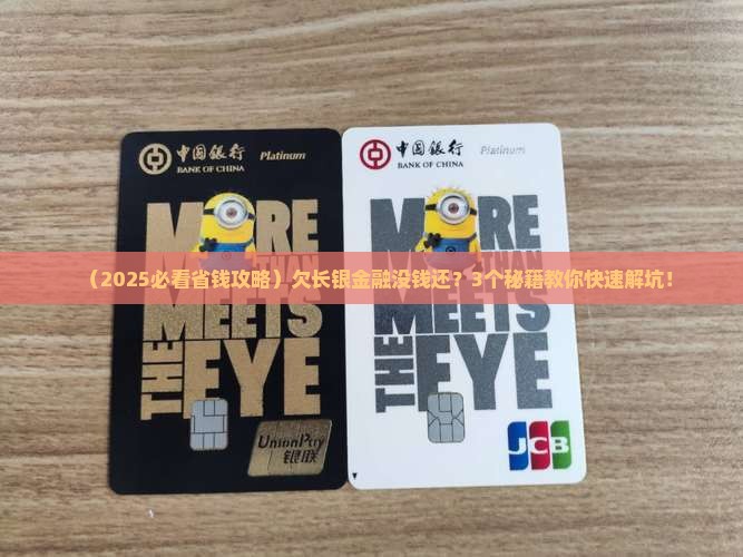 长银金融没钱还款怎么办快速解决方法