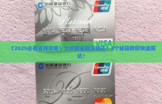长银金融没钱还款怎么办快速解决方法