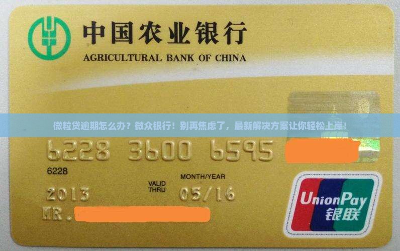 微粒贷逾期怎么办微众银行