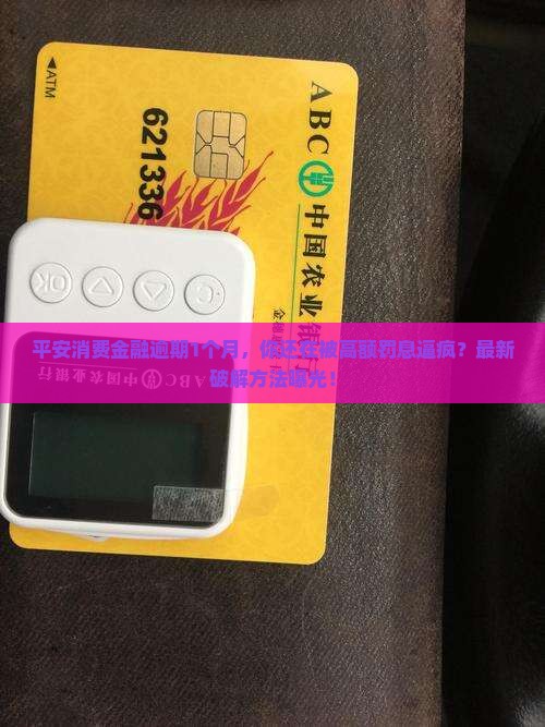 平安消费金融逾期1个月
