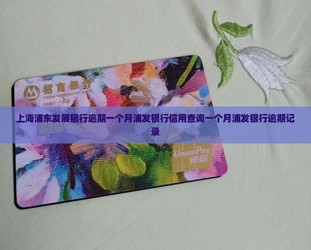 上海浦东发展银行逾期一个月
