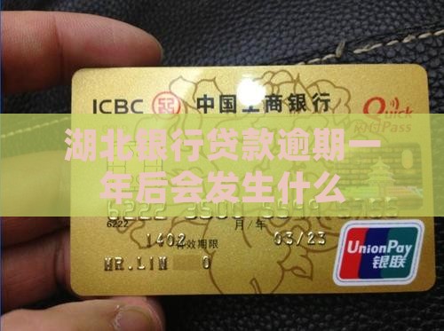 湖北银行贷款逾期一年后会发生什么