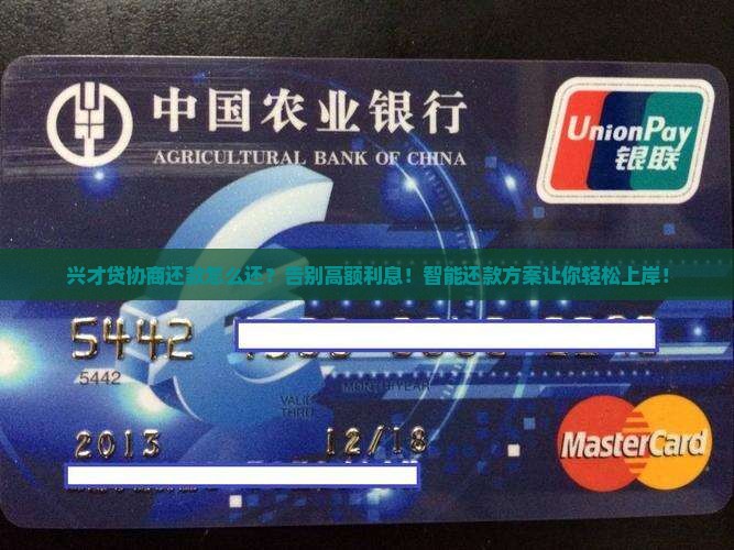 兴才贷协商还款怎么还