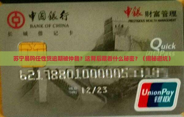 苏宁易购任性贷逾期被仲裁