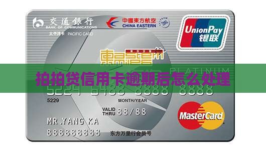 拍拍贷信用卡逾期后怎么办