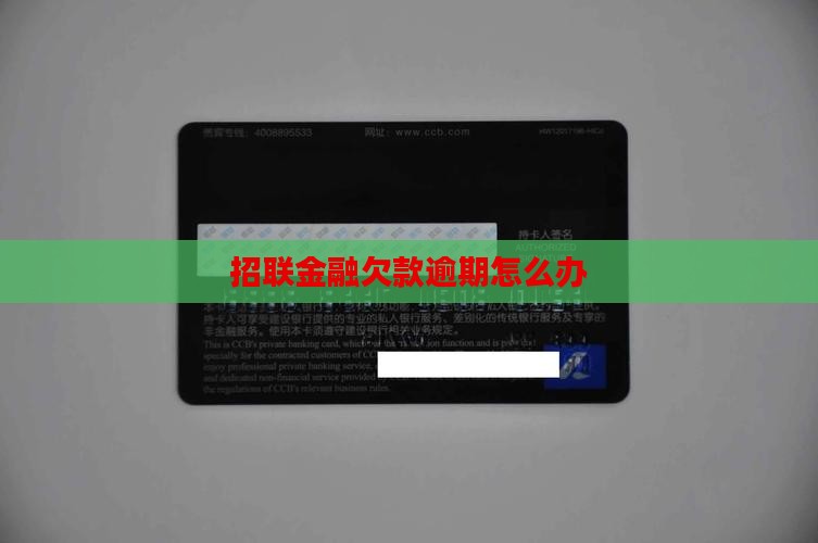 招联金融欠款逾期怎么办