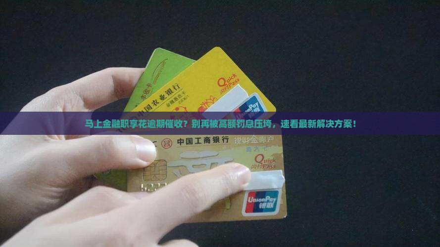 马上金融职享花逾期催收