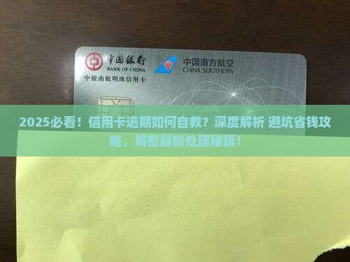 2024年信用卡逾期如何处理