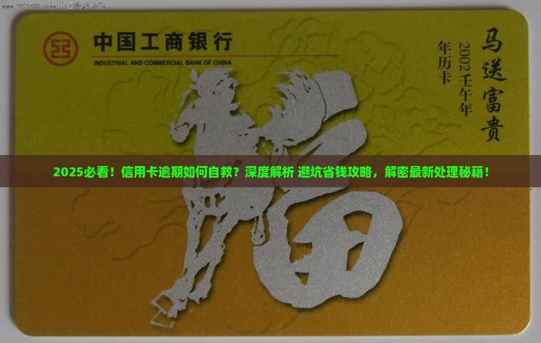 2024年信用卡逾期如何处理