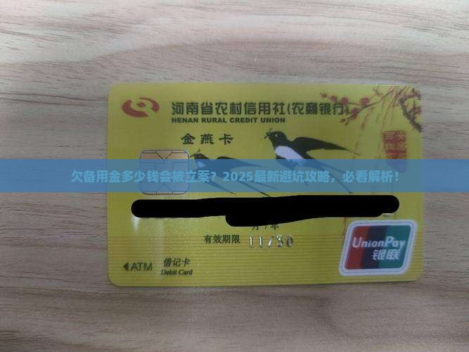 欠备用金多少钱可以被立案