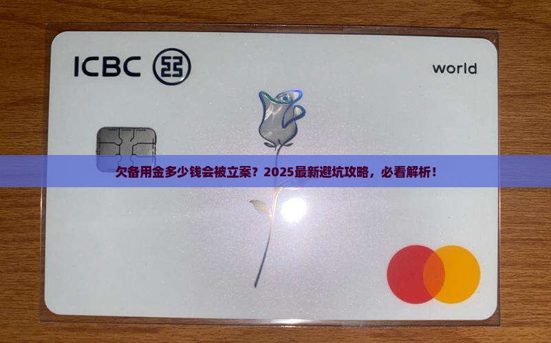 欠备用金多少钱可以被立案