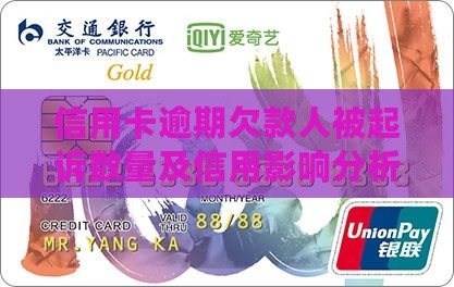 信用卡欠款人被起诉的数量有多少