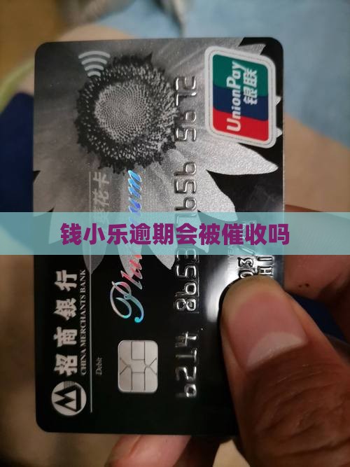 钱小乐逾期会不会催收如何处理
