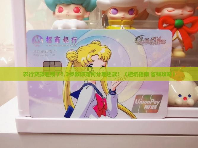 农行贷款逾期了怎么分期还款