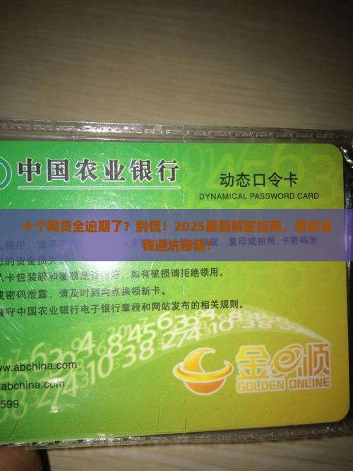十个网贷全部逾期了怎么办