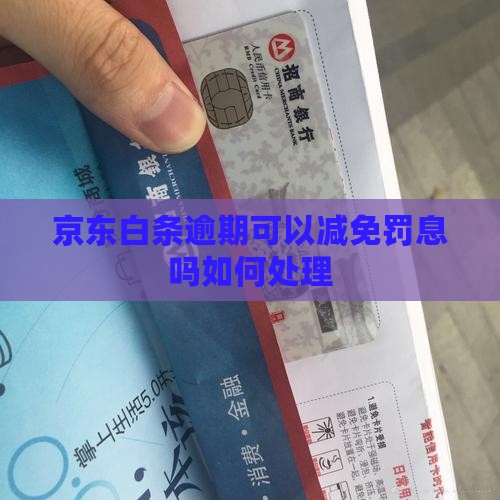 京东白条逾期可以减免罚息吗如何处理