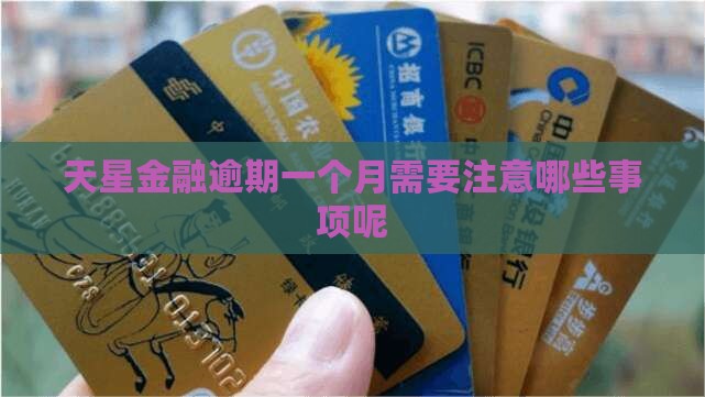 天星金融逾期一个月需要注意哪些事项