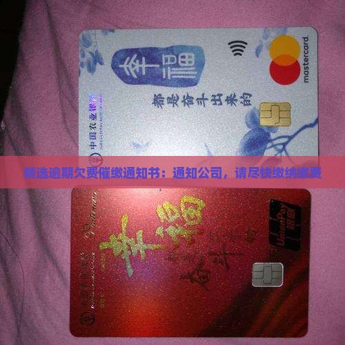逾期欠费催缴通知书