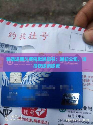 逾期欠费催缴通知书