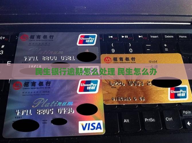丰台民生银行逾期还款怎么办