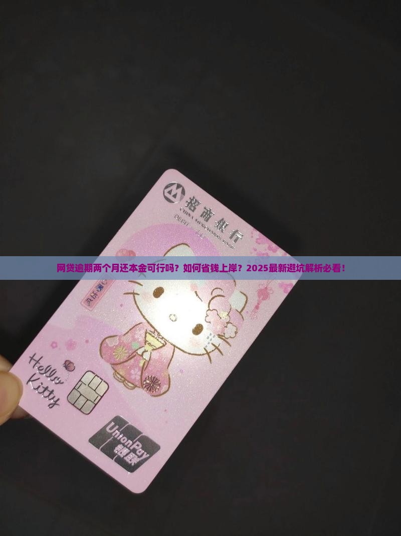 网贷逾期两个月还本金可行吗