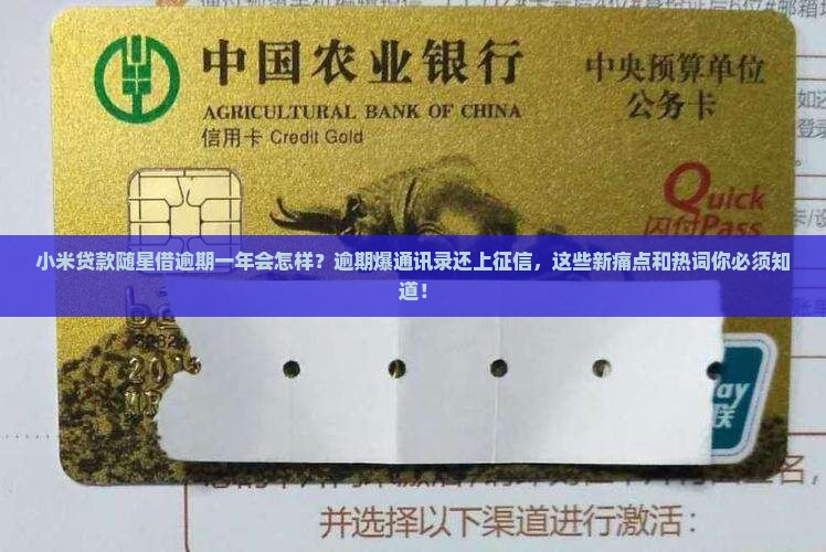 小米贷款随星借逾期一年会怎样 小米贷款随星借逾期一年会怎样