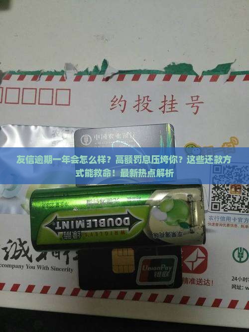 友信逾期一年会怎么样还款方式有哪些