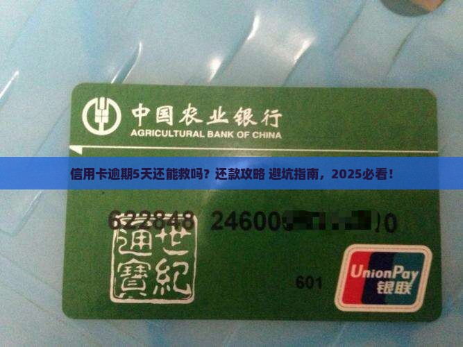 信用卡逾期5天怎么办应该尽快还清欠款
