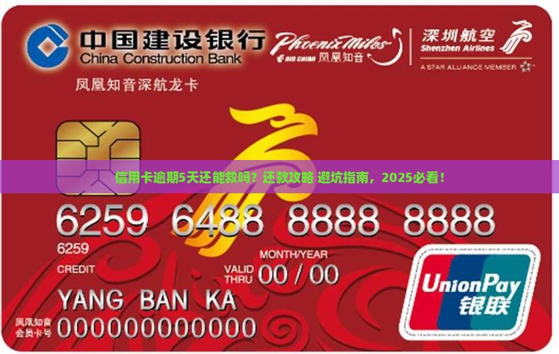 信用卡逾期5天怎么办应该尽快还清欠款