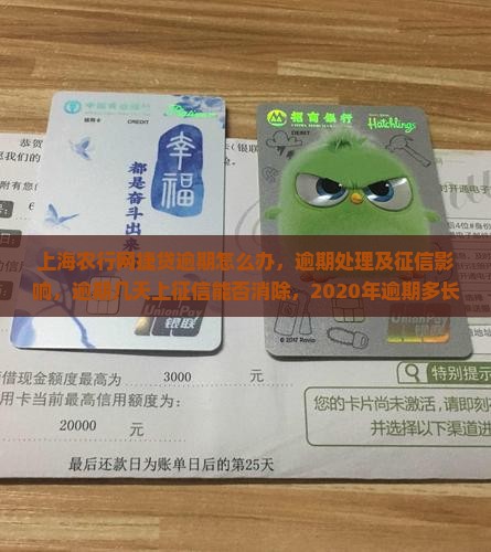 上海农行网捷贷逾期怎么办