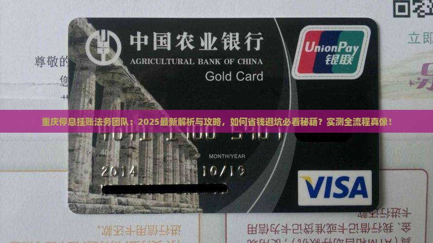 重庆停息挂账法务团队