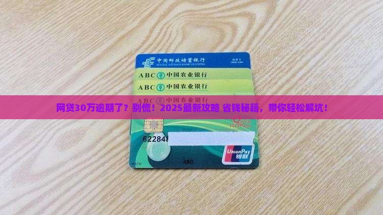 网贷30万逾期上诉怎么办