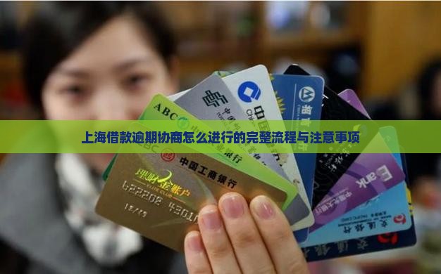 上海借款逾期协商怎么进行