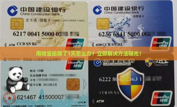 用钱宝逾期了1天怎么办