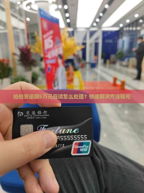 拍拍贷逾期5万元应该怎么处理